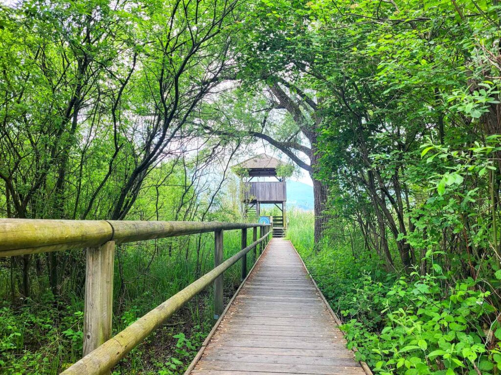 Beobachtungsturm Chiemsee Radweg