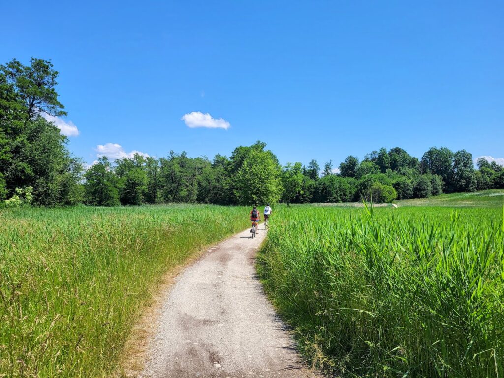 Der Chiemsee Radweg bei Riedering