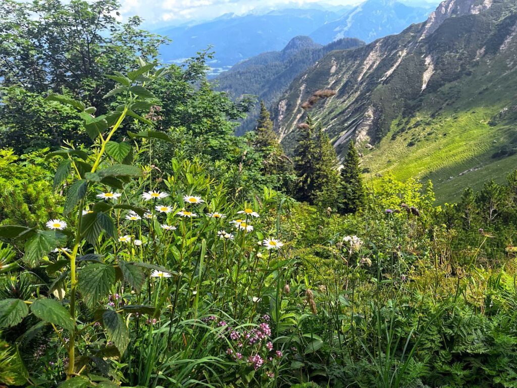 Geigelstein Naturschutzgebiet