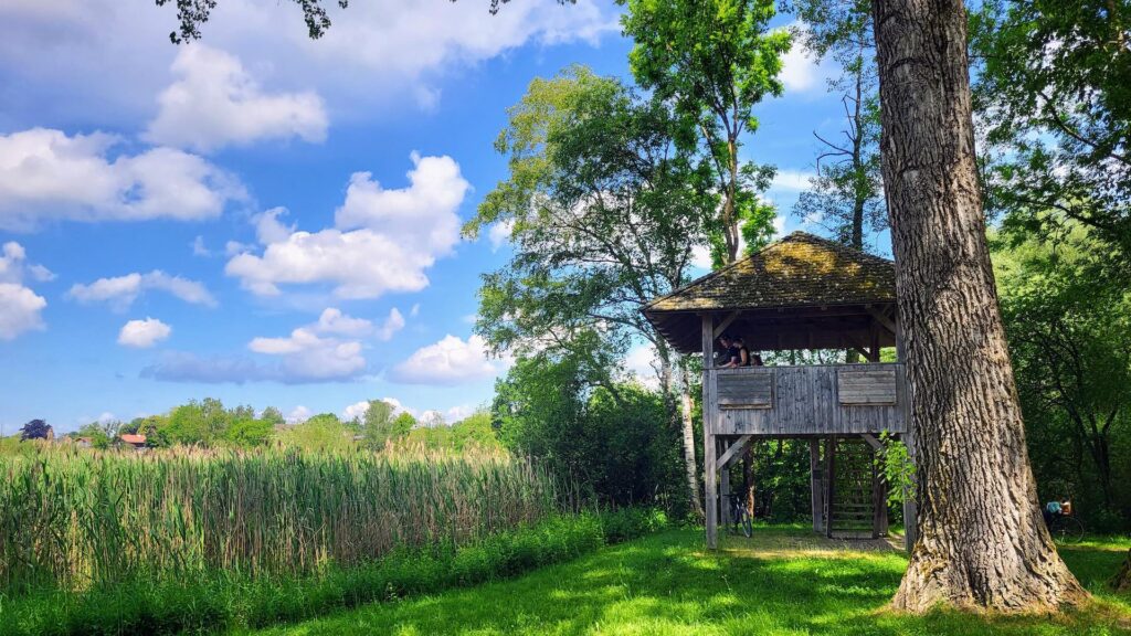 Aussichtsturm in Seebruck