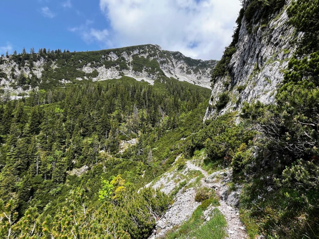 Gamsknogel Wanderweg
