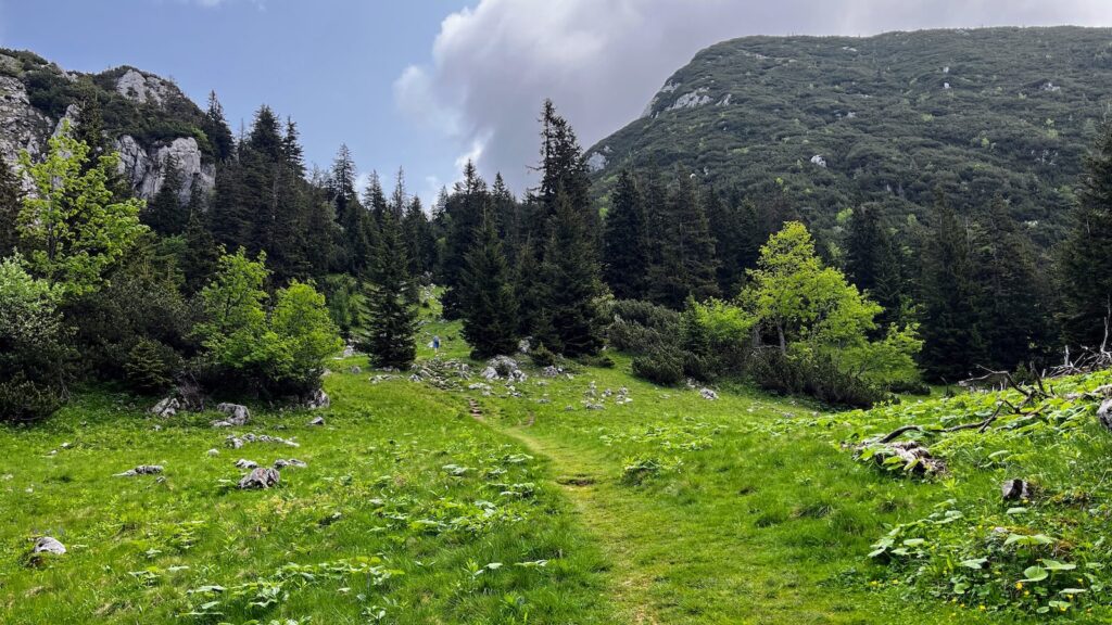 Wanderweg auf den Gamsknogel