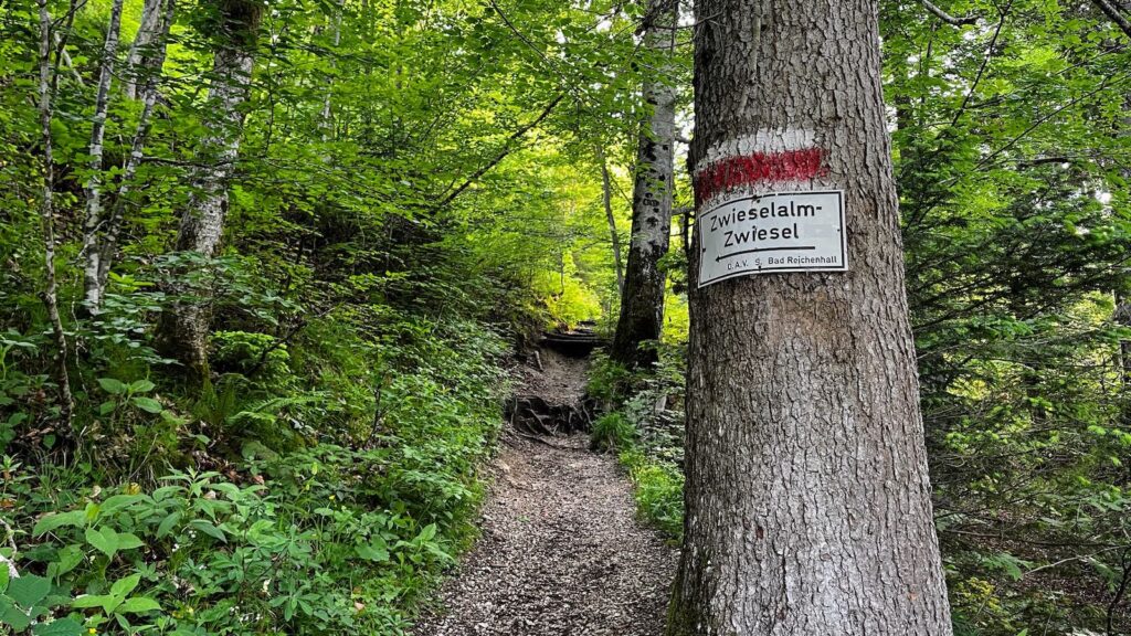 Zwiesel Wanderweg