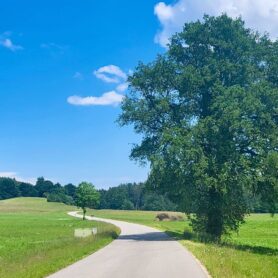 Chiemsee nach Traunstein