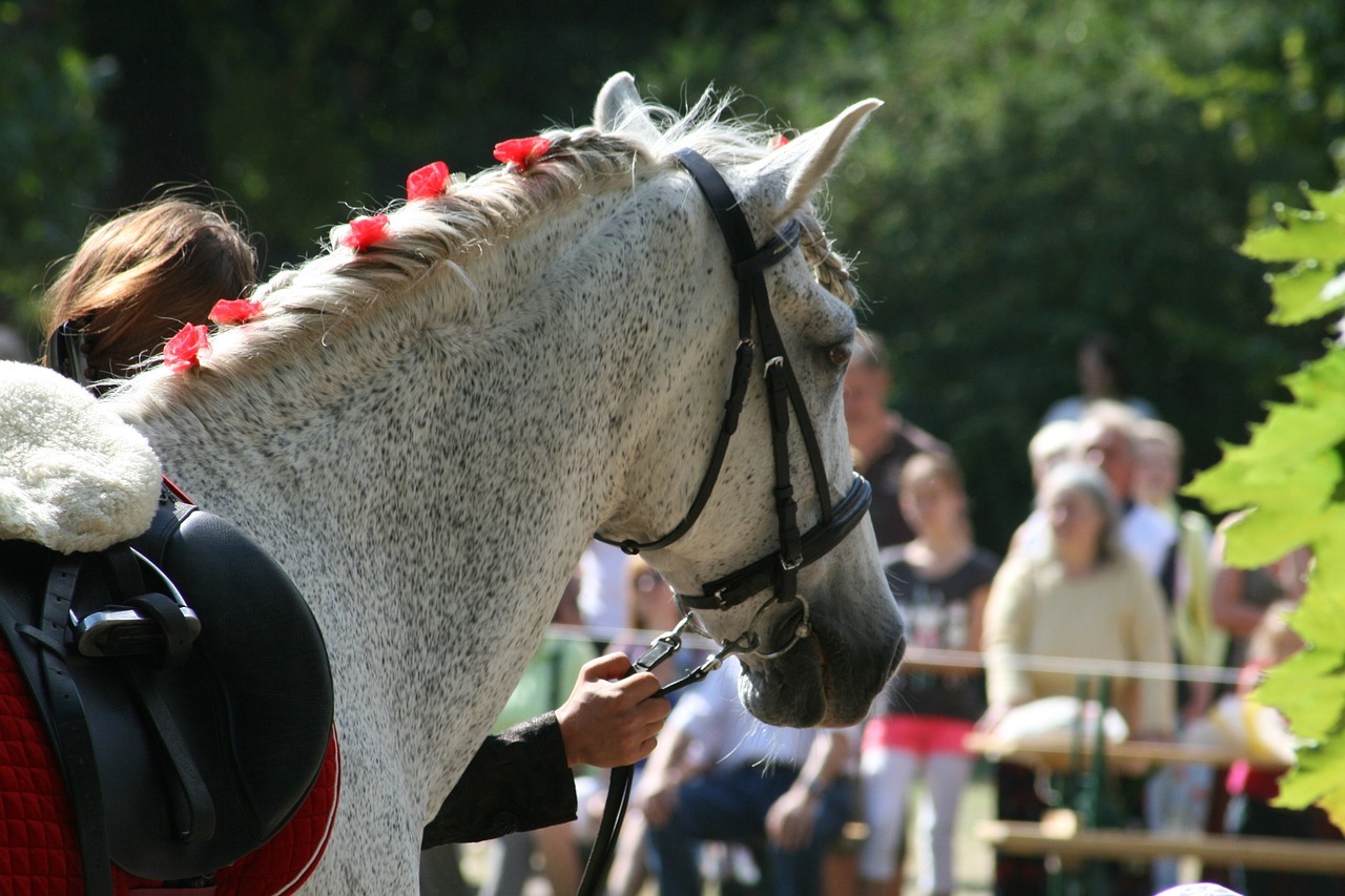 Chiemsee Pferdefestival