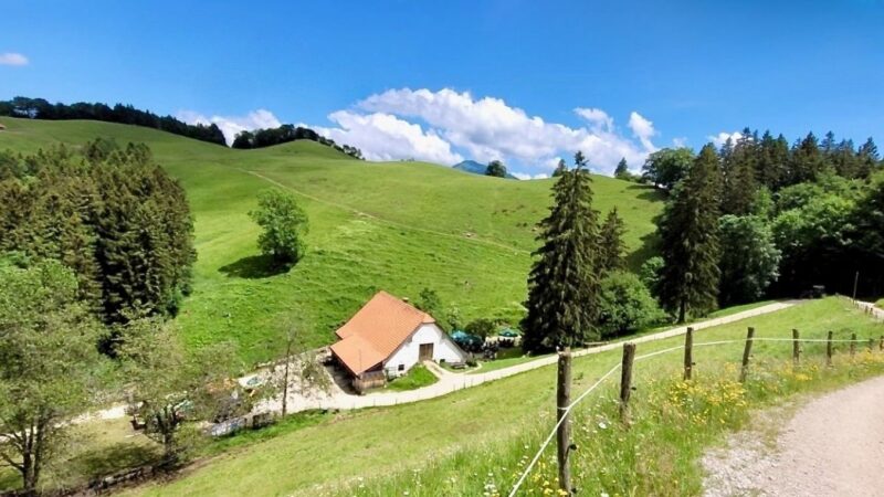 familienfreundliche wanderung zur hefteralm