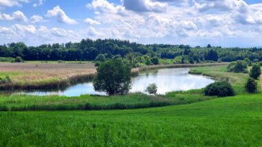 Alzradweg
