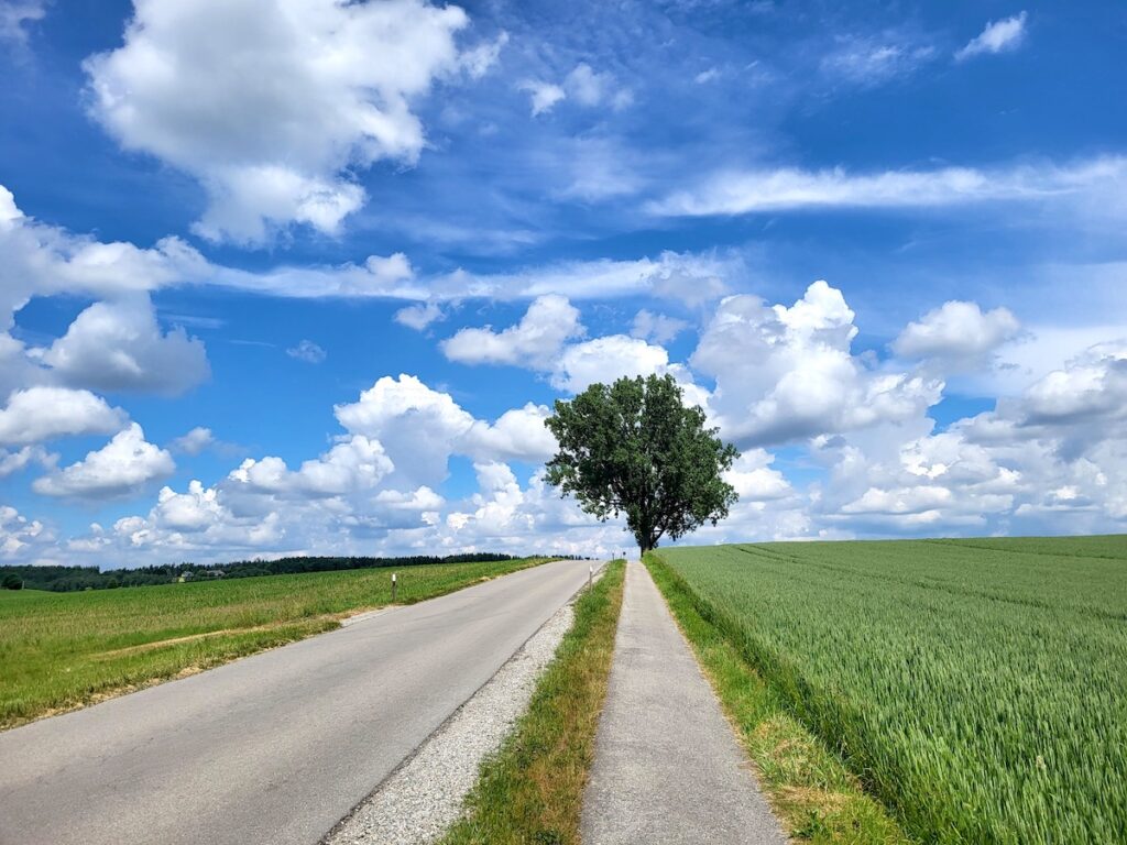 Mozartradweg Chiemsee Wasserburg