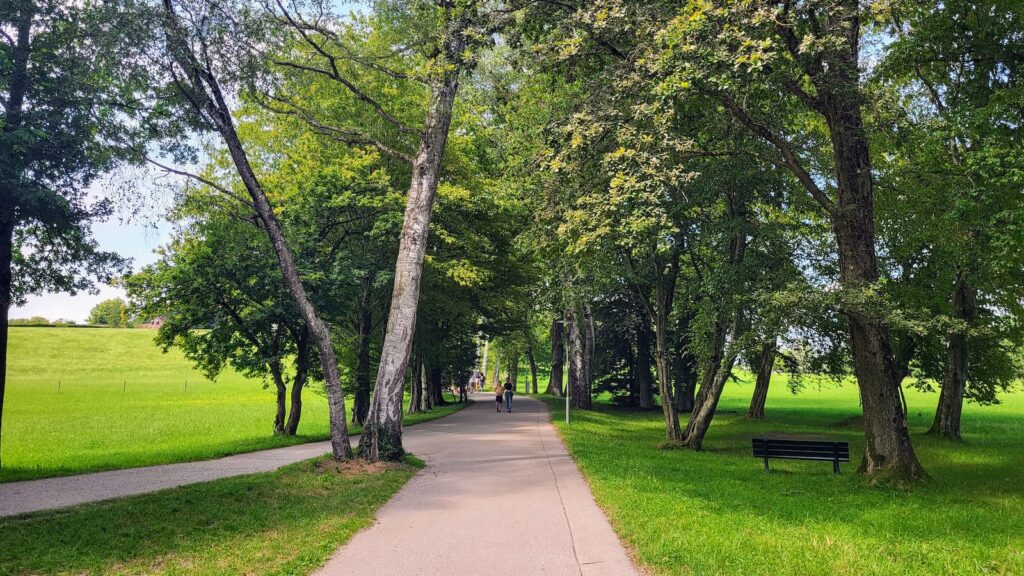 Herreninsel Rundweg